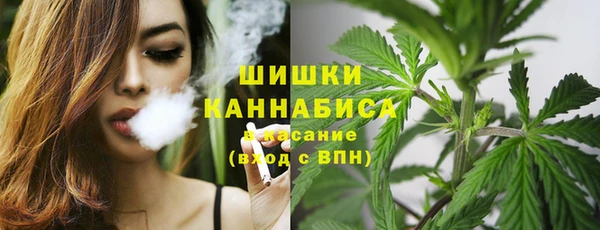 МДПВ Верхний Тагил