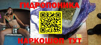стафф Будённовск