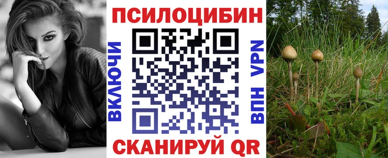 закладка  Гусев  Галлюциногенные грибы Cubensis 