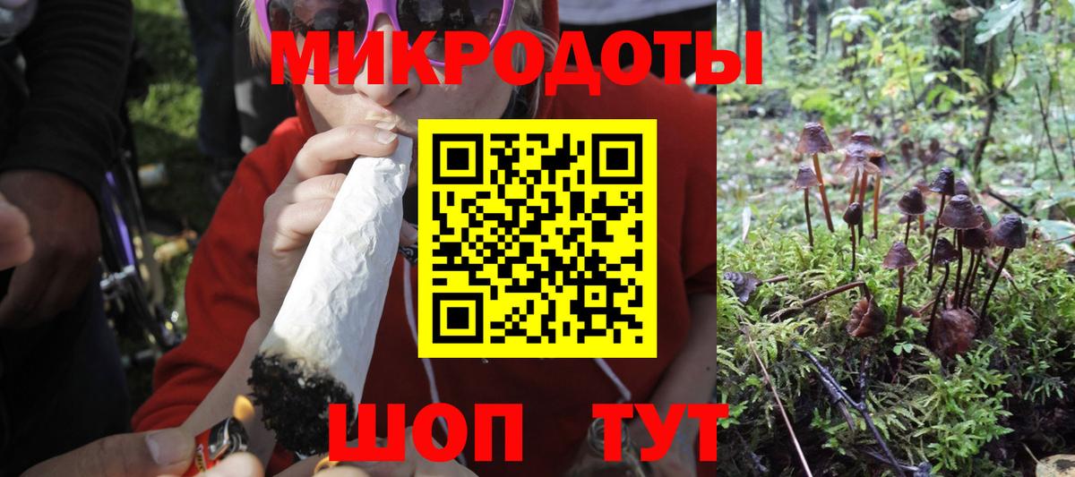 Псилоцибиновые грибы Psilocybine cubensis Гусев